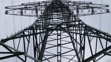 support line for businesses