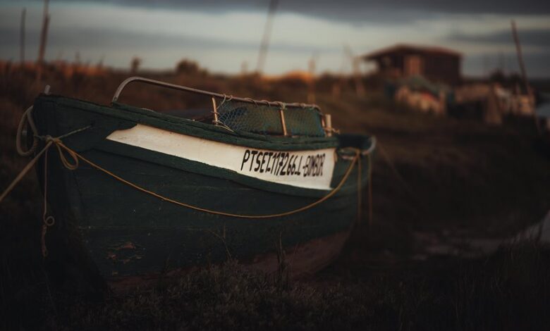 industry codes and identifiers