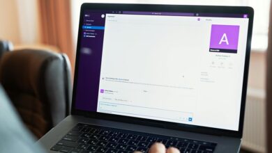 maximize online business potential